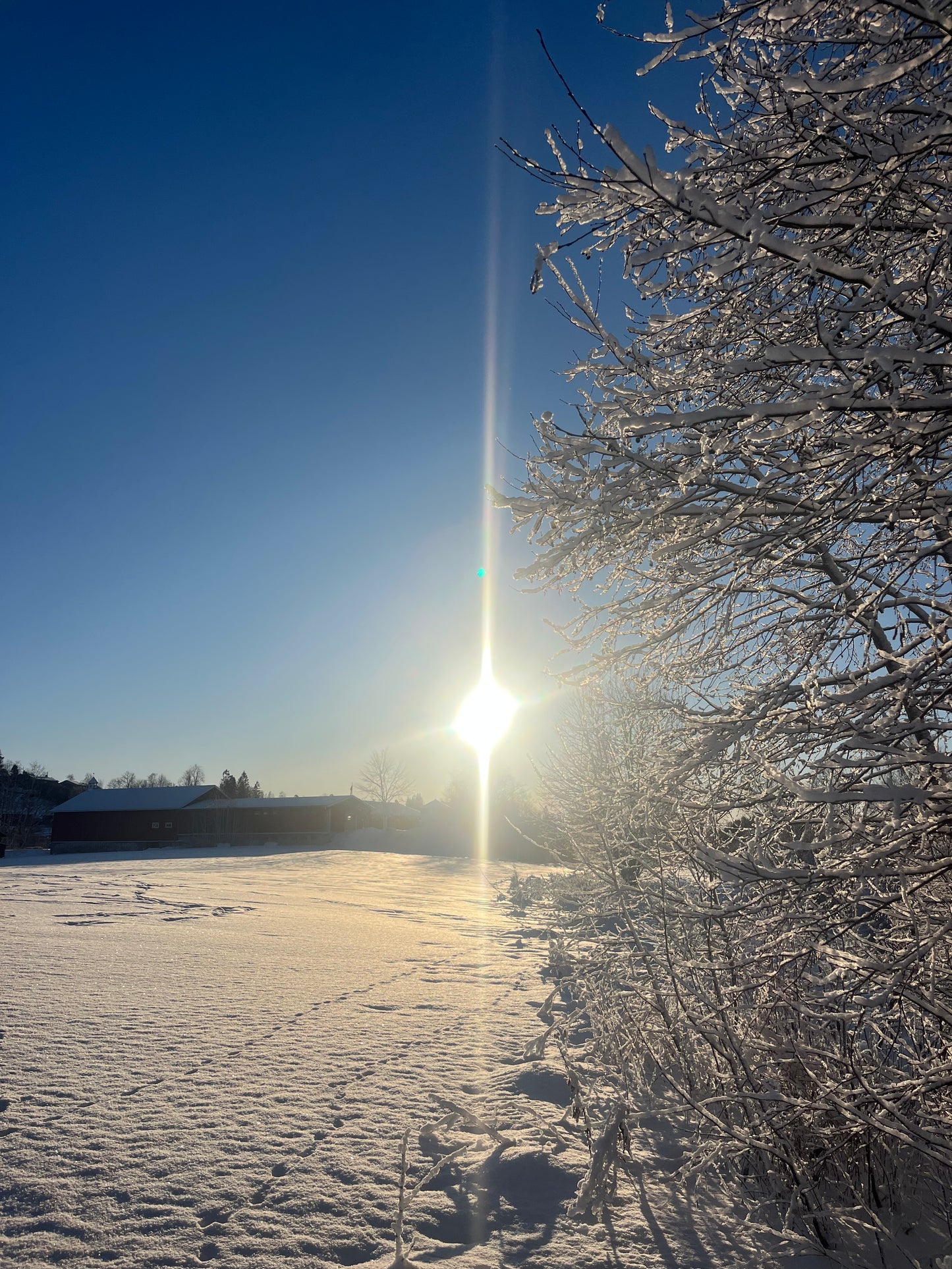 Terapipakke - 8 timer