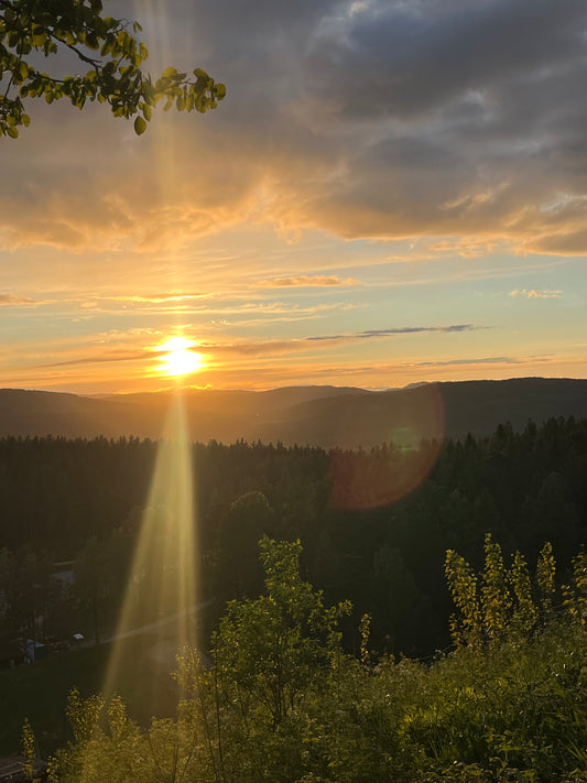 Terapipakke - 7 timer