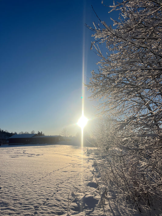 Terapipakke - 8 timer